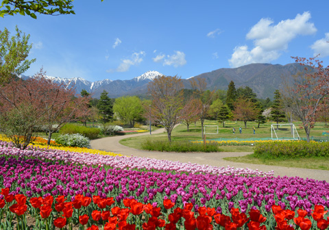 国営アルプスあずみの公園写真