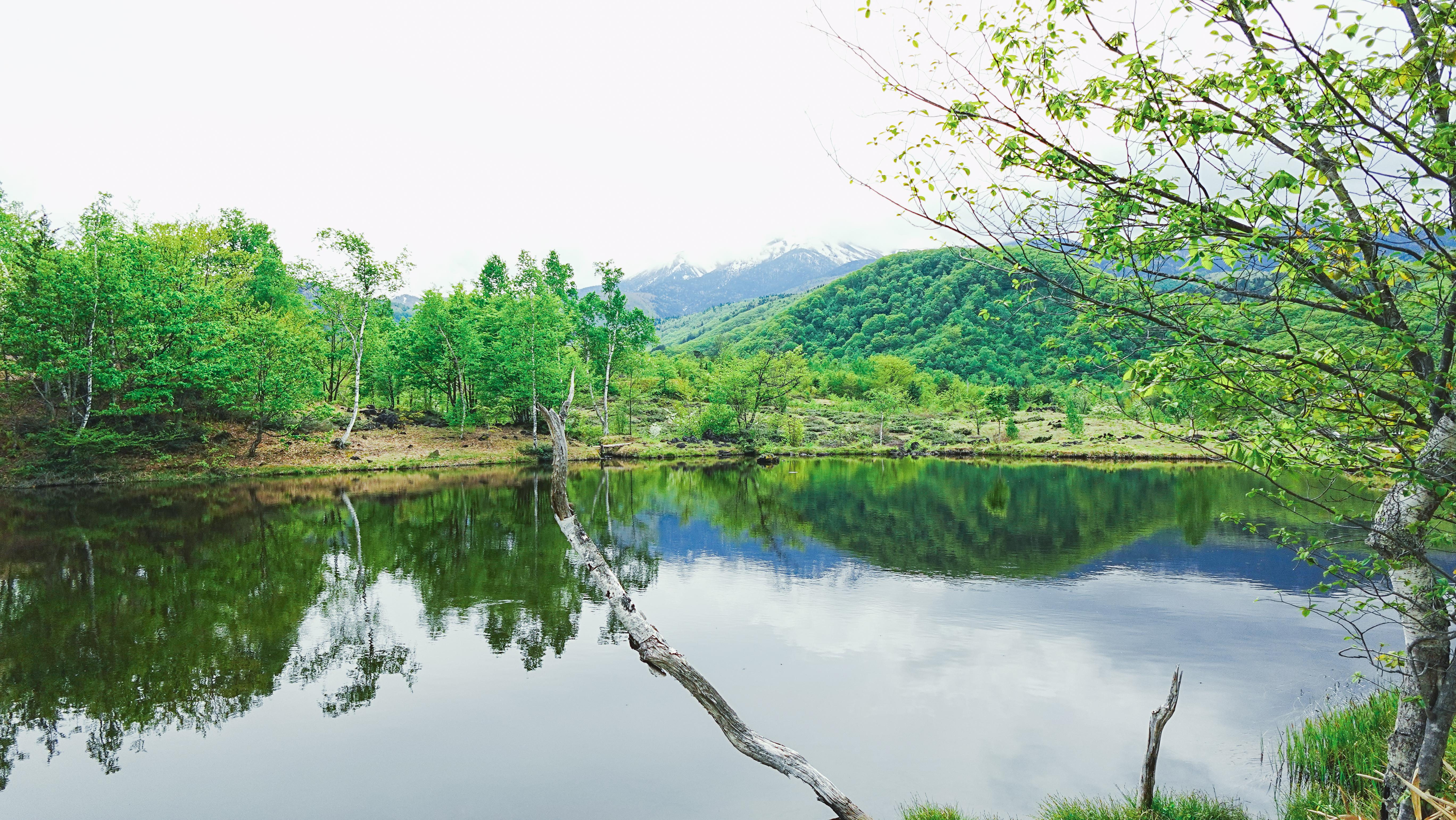 乗鞍高原　写真